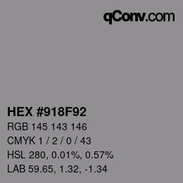 Color code: HEX #918F92 | qconv.com