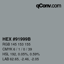 カラーコード: HEX #91999B | qconv.com