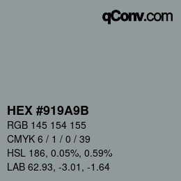 Color code: HEX #919A9B | qconv.com
