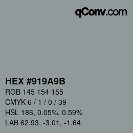 Color code: HEX #919A9B | qconv.com