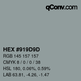 Color code: HEX #919D9D | qconv.com