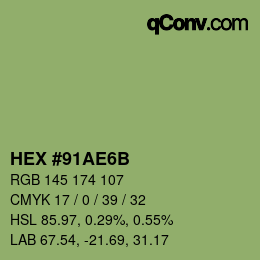 Color code: HEX #91AE6B | qconv.com