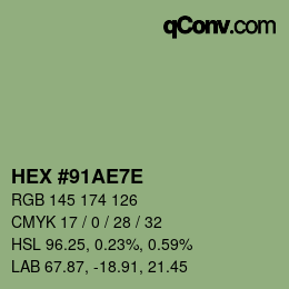 Color code: HEX #91AE7E | qconv.com