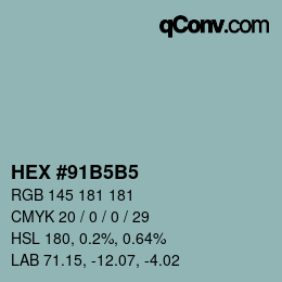 Color code: HEX #91B5B5 | qconv.com