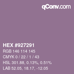 颜色代码: HEX #927291 | qconv.com