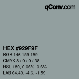 Color code: HEX #929F9F | qconv.com
