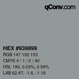 Color code: HEX #939899 | qconv.com