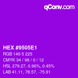 Color code: HEX #9505E1 | qconv.com