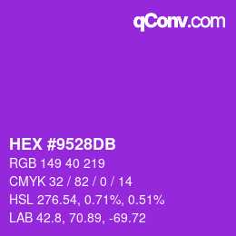 Color code: HEX #9528DB | qconv.com