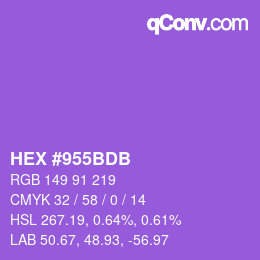 Color code: HEX #955BDB | qconv.com