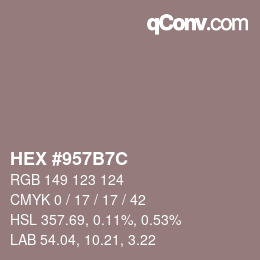 Color code: HEX #957B7C | qconv.com