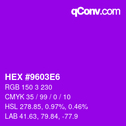 Color code: HEX #9603E6 | qconv.com