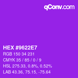 Color code: HEX #9622E7 | qconv.com