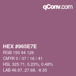Color code: HEX #965E7E | qconv.com