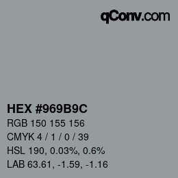 Color code: HEX #969B9C | qconv.com