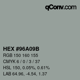 Color code: HEX #96A09B | qconv.com