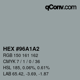 颜色代码: HEX #96A1A2 | qconv.com