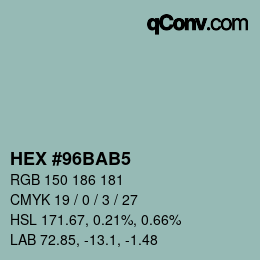 Color code: HEX #96BAB5 | qconv.com