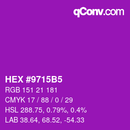 カラーコード: HEX #9715B5 | qconv.com