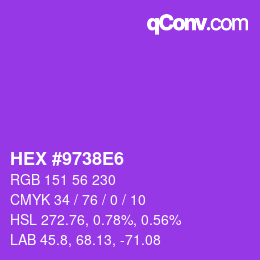 カラーコード: HEX #9738E6 | qconv.com