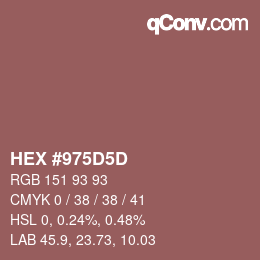 Color code: HEX #975D5D | qconv.com