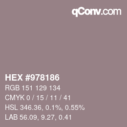 颜色代码: HEX #978186 | qconv.com