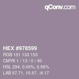 颜色代码: HEX #978599 | qconv.com