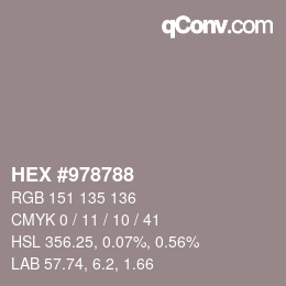 Color code: HEX #978788 | qconv.com