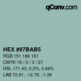 颜色代码: HEX #97BAB5 | qconv.com