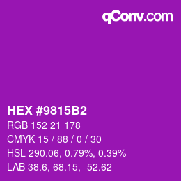 Color code: HEX #9815B2 | qconv.com