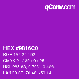 Color code: HEX #9816C0 | qconv.com