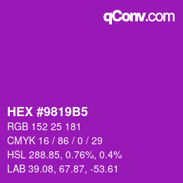 カラーコード: HEX #9819B5 | qconv.com