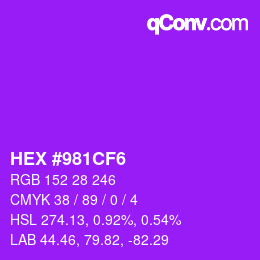 Color code: HEX #981CF6 | qconv.com