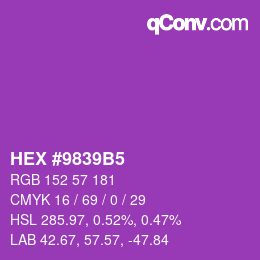 カラーコード: HEX #9839B5 | qconv.com