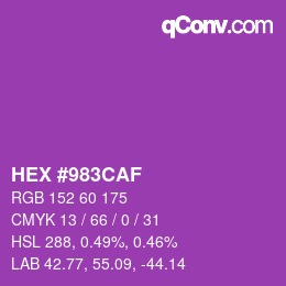 Color code: HEX #983CAF | qconv.com