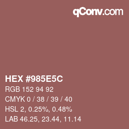 Color code: HEX #985E5C | qconv.com