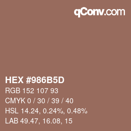 Color code: HEX #986B5D | qconv.com
