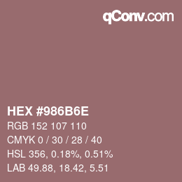 Color code: HEX #986B6E | qconv.com