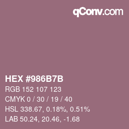Color code: HEX #986B7B | qconv.com