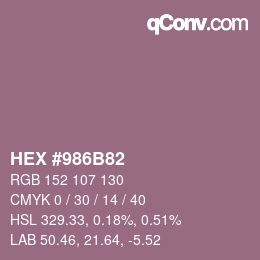 Color code: HEX #986B82 | qconv.com