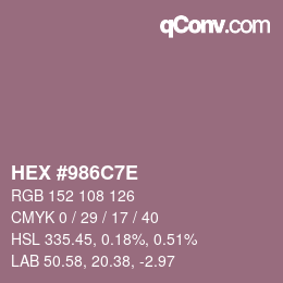 Color code: HEX #986C7E | qconv.com