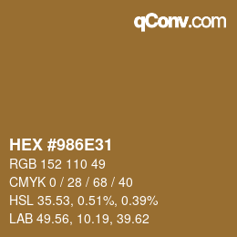 Farbcode: HEX #986E31 | qconv.com