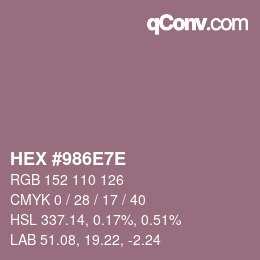 Color code: HEX #986E7E | qconv.com