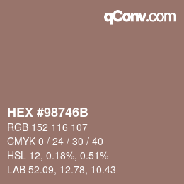 Color code: HEX #98746B | qconv.com