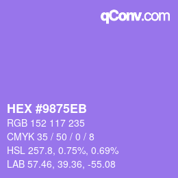 Color code: HEX #9875EB | qconv.com