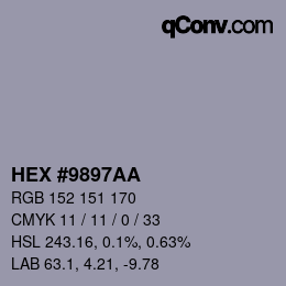 Color code: HEX #9897AA | qconv.com
