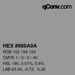 Color code: HEX #989A9A | qconv.com