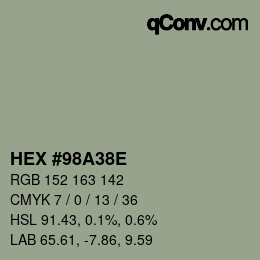 Color code: HEX #98A38E | qconv.com