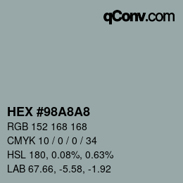 Color code: HEX #98A8A8 | qconv.com