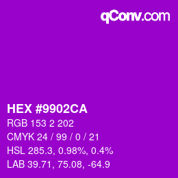 カラーコード: HEX #9902CA | qconv.com